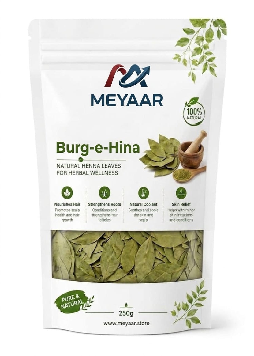 BURG-E-HINA